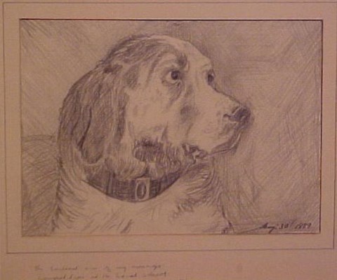 City Collection Norman Lindsay - Head of a Dog