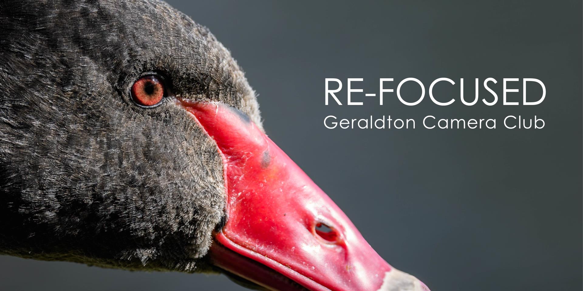 RE-FOCUSED The Geraldton Camera Club | 8 February - 11 May 2025