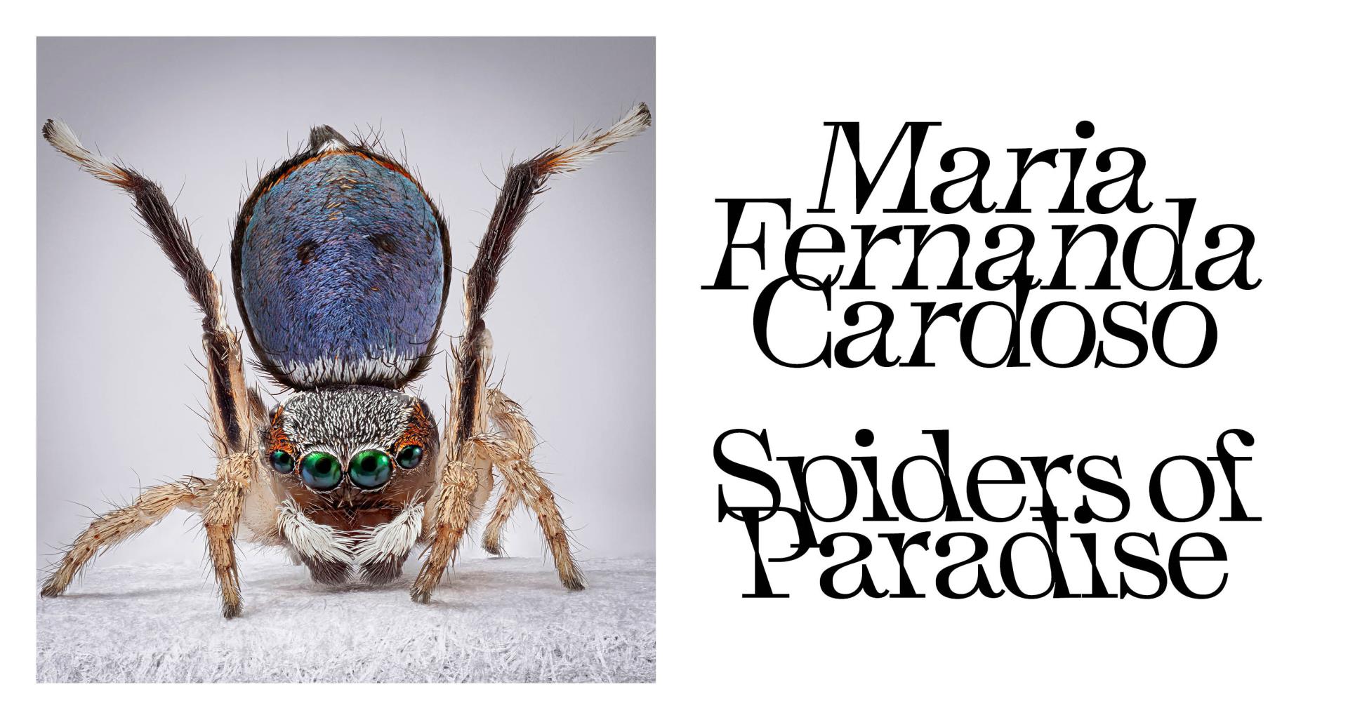 Maria Fernanda Cardoso: Spiders of Paradise | 23 August - 2 November 2025